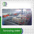 Hot Galvanized Pipe Pig Cage Farrowing Management Swine
